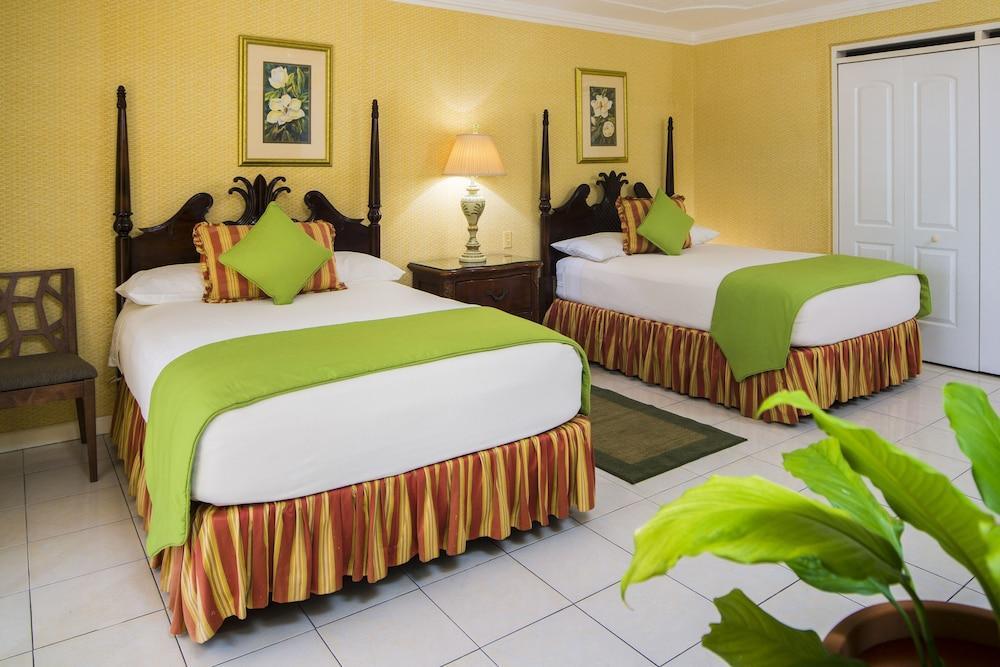 Polkerris Bed & Breakfast Montego Bay Zewnętrze zdjęcie