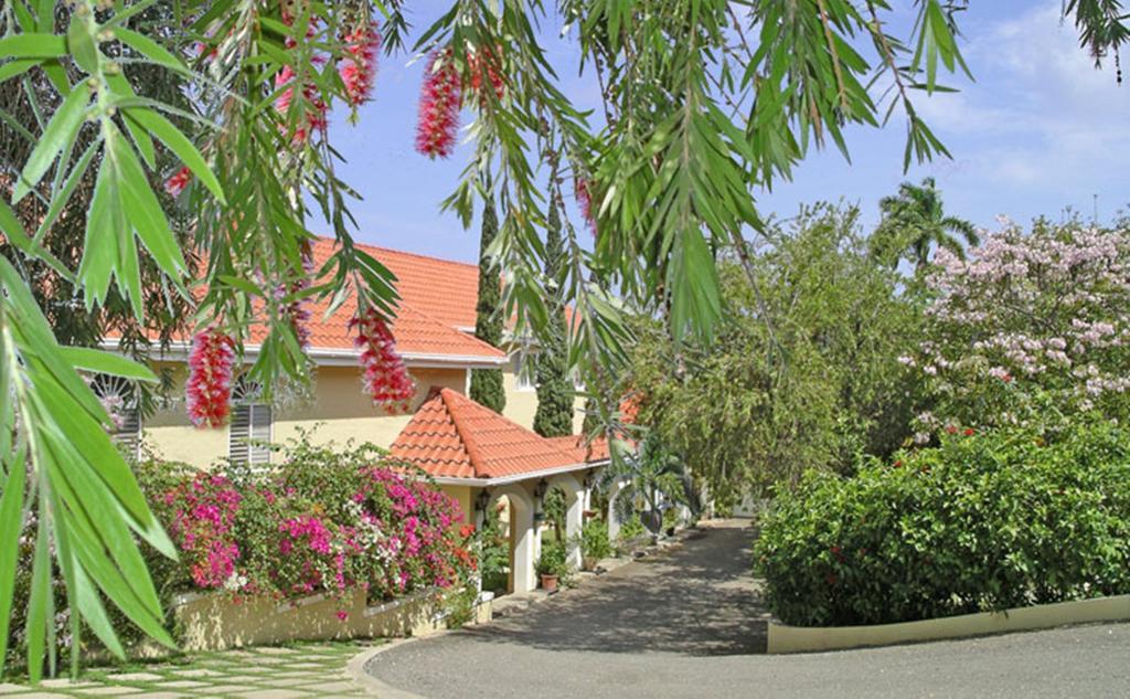 Polkerris Bed & Breakfast Montego Bay Zewnętrze zdjęcie