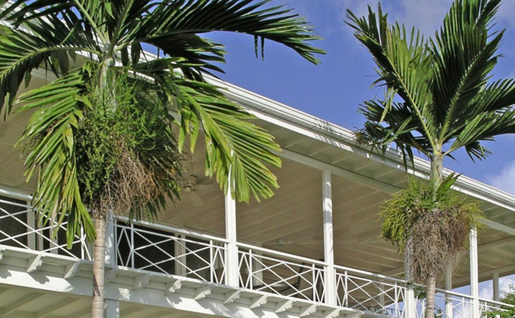 Polkerris Bed & Breakfast Montego Bay Zewnętrze zdjęcie