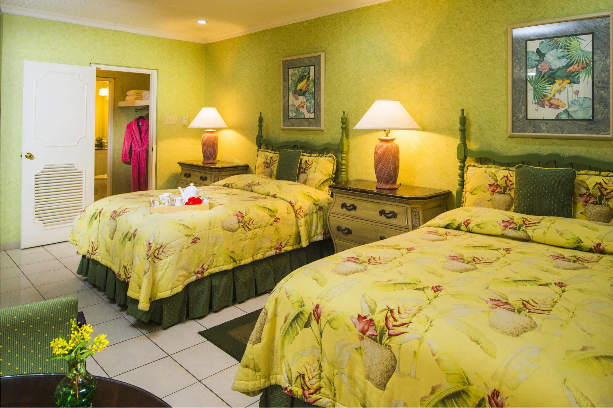 Polkerris Bed & Breakfast Montego Bay Zewnętrze zdjęcie