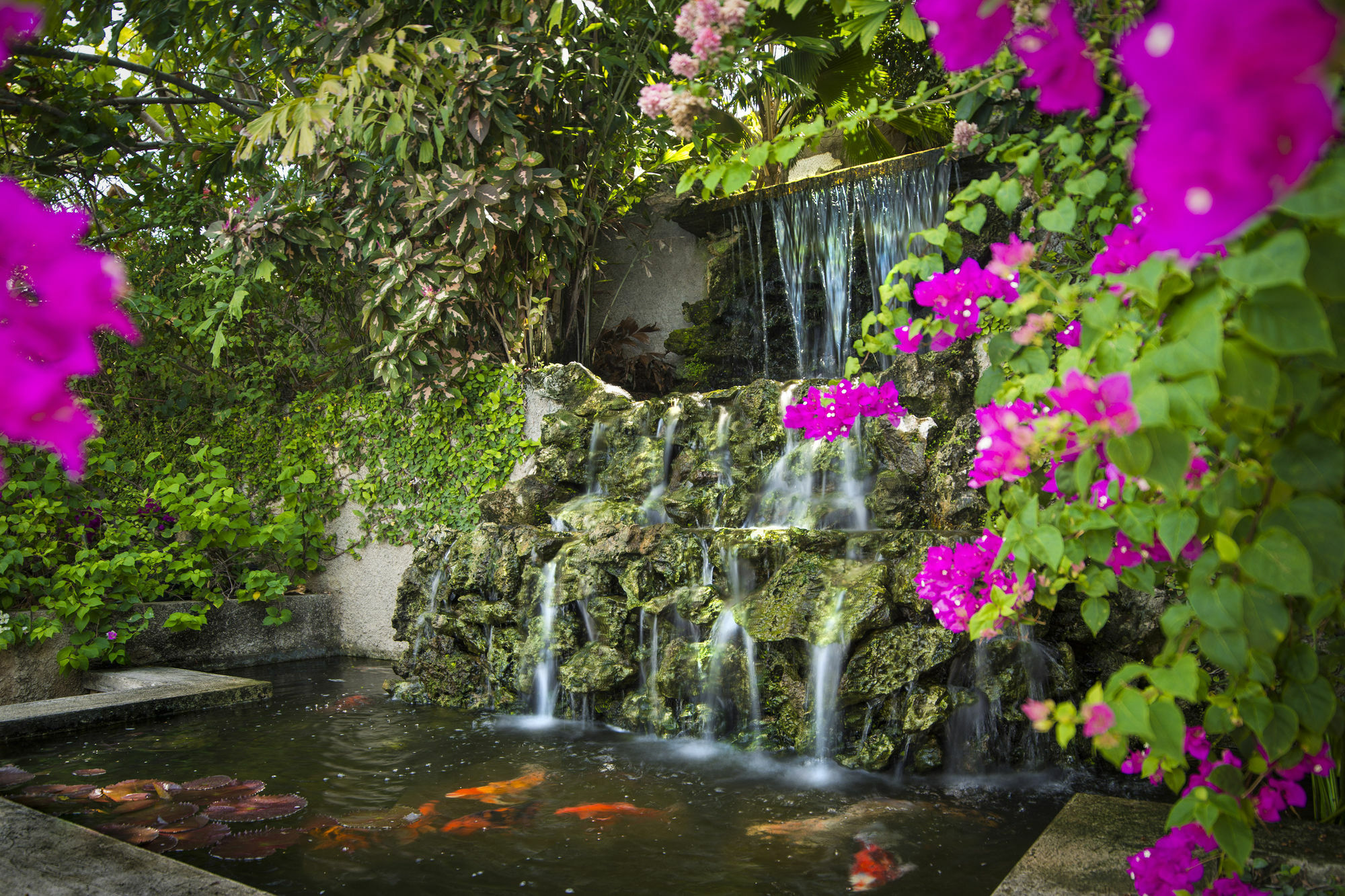Polkerris Bed & Breakfast Montego Bay Zewnętrze zdjęcie